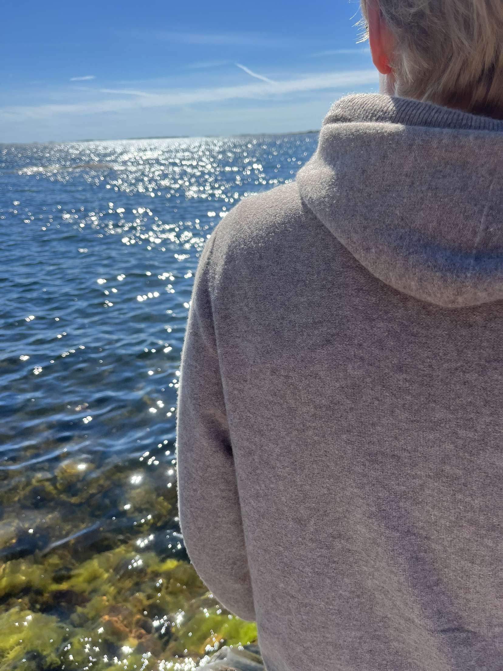 Merino hoodie